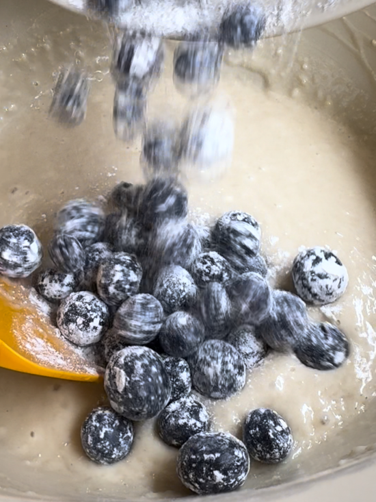 Blueberries added to blueberry muffin batter