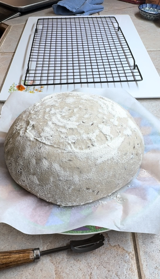 Sourdough ready to be scored