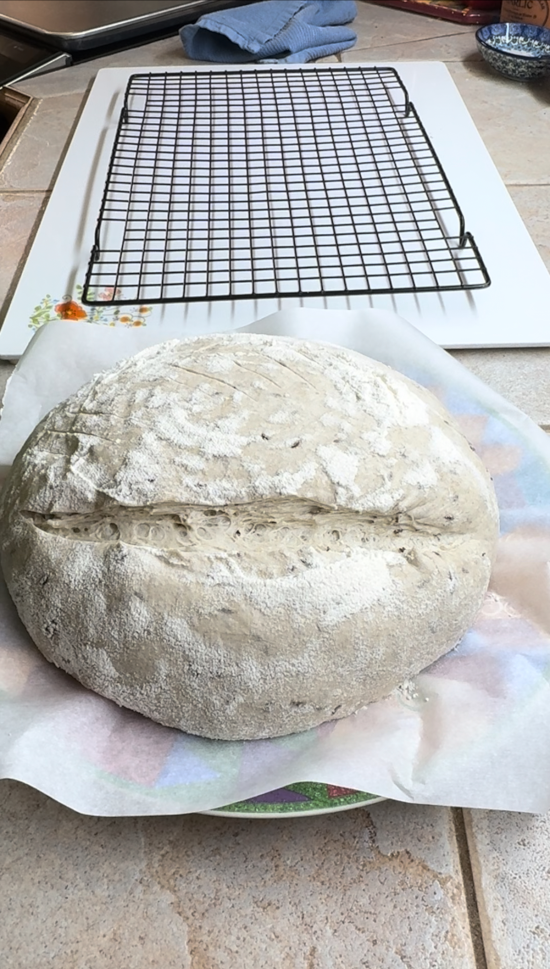 Sourdough scored