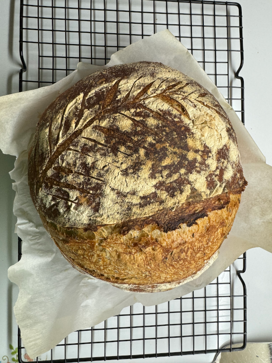 Rye Sourdough top view