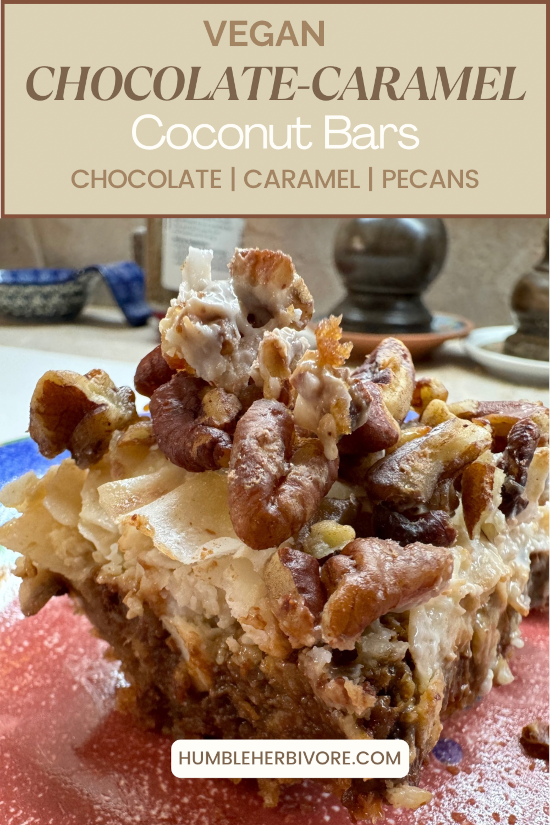 Chocolate-Caramel Coconut Bars Pin