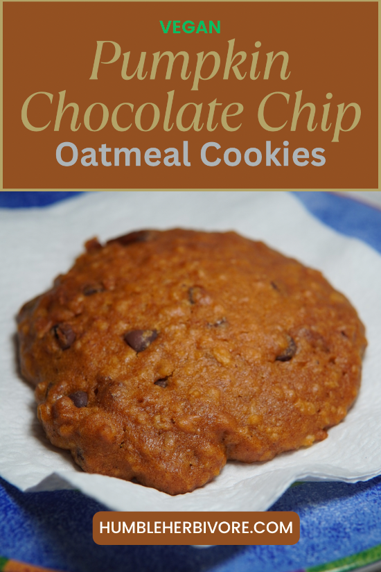 Pumpkin Chocolate Chip Oatmeal Cookies Pin