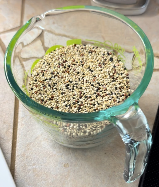 Tri-colored quinoa in measuring cup