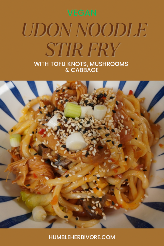 Udon Noodle Stir Fry with Tofu Knots, Mushrooms, and Cabbage