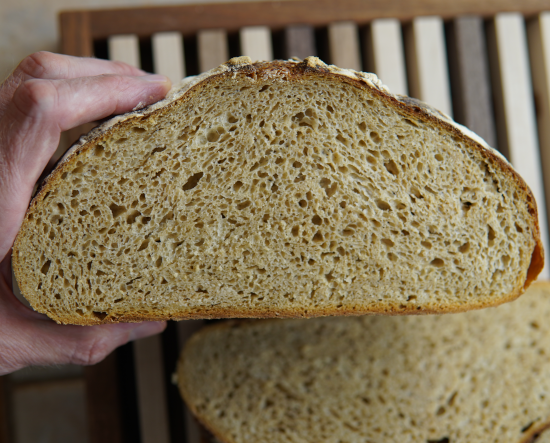 Whole wheat sourdough cross section