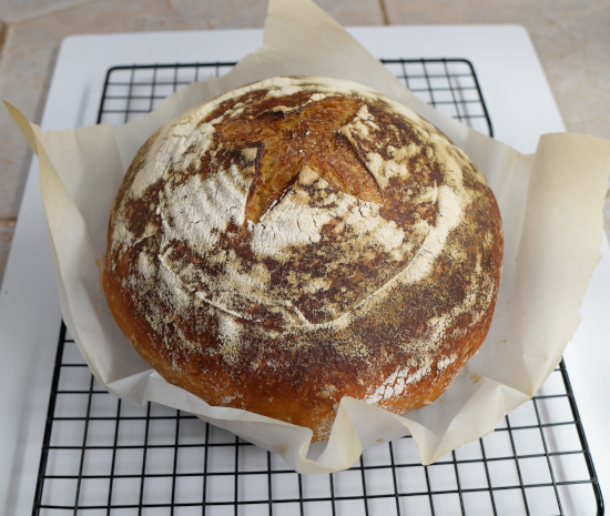 Sourdough removed from Dutch oven 