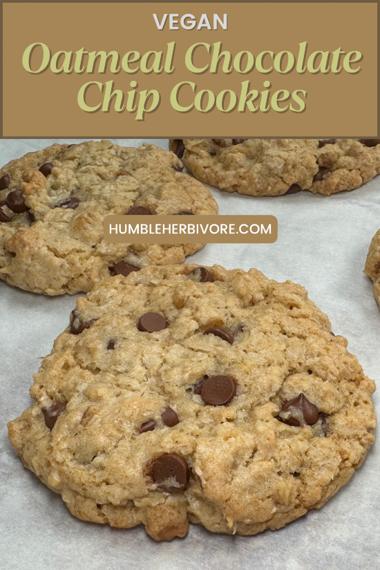 Oatmeal Chocolate Chip Cookies pin