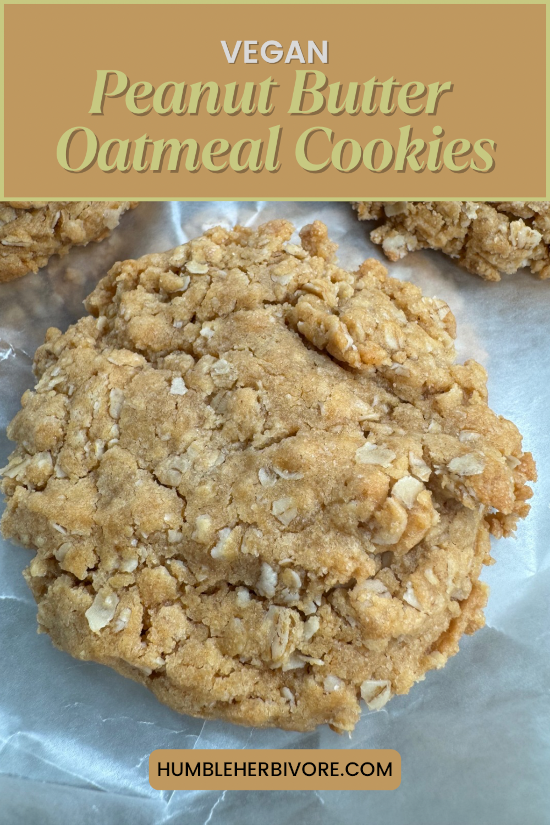 Vegan peanut butter oatmeal cookies pin