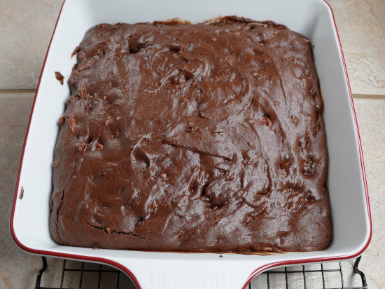 Pecan brownies fresh from the oven