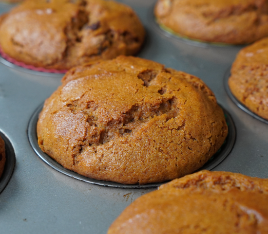 Gingerbread muffins fresh from the oven