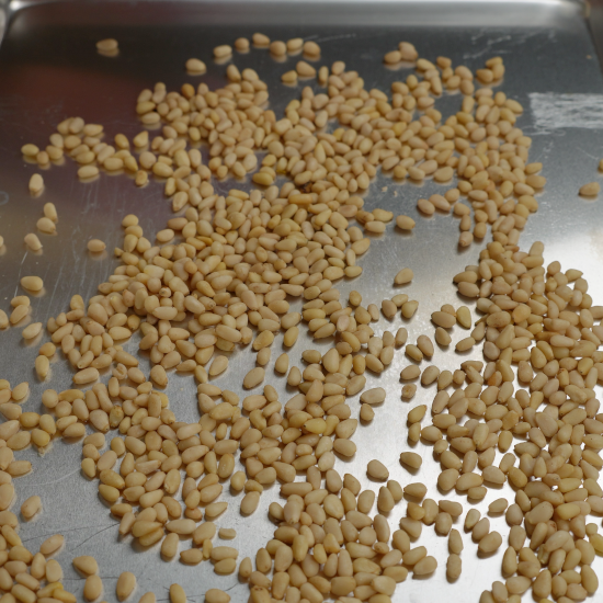 Pine nuts on a baking sheet ready to bake until golden brown