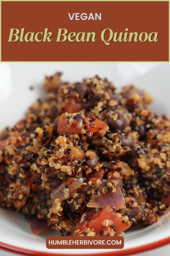 Vegan Black Bean Quinoa pin