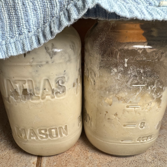 Feed the starter, cover with a towel, and let rise overnight