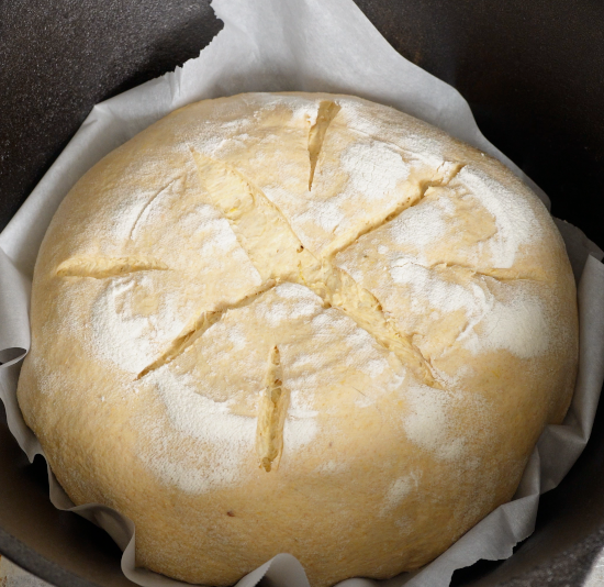 Scored dough placed in a Dutch oven ready to be baked